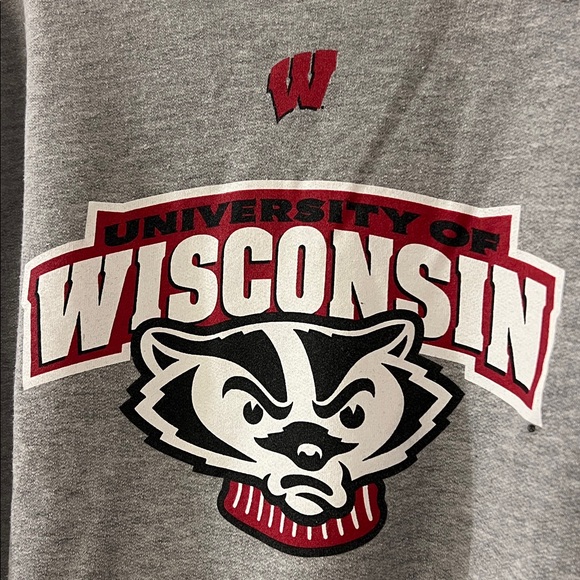 Vintage Tops - [Wisconsin Badgers] Gray Crewneck